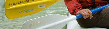 Whitewater Rafting Paddle