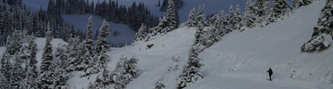Cross-country Skier