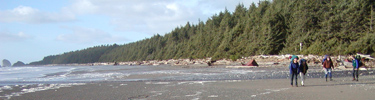 Backpackers on the Wilderness Coast
