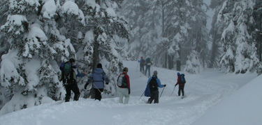 Snowshoers at Hurricane Ridge in Winter