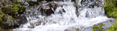 View the cascading falls on the No Name trail.