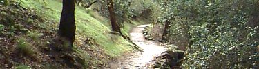 The Moses Spring Trail in winter