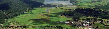 The Giacomini Wetland © Robert Campbell