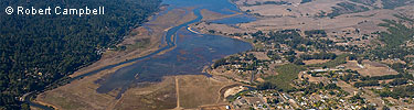 Flooded Giacomini Wetlands © Robert Campbell October 29, 2008