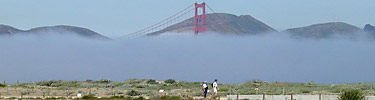 Fog pours through the Golden Gate from Crissy Field