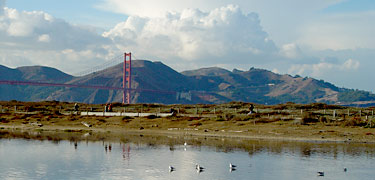Crissy Field