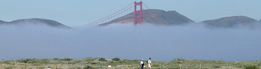 Fog over Crissy Field