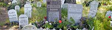 Presidio pet cemetery