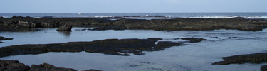 recreation area tidepools