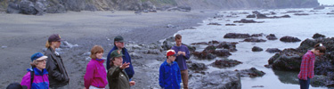 ranger-led tidepool walk