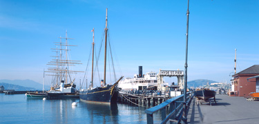 A view looking down Hyde Street Pier to the north.