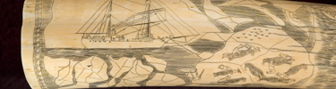 A piece of scrimshawed walrus tusk with a ship and men hunting walrus.