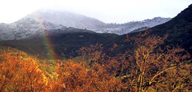 The foothills-Sequoia National Park.