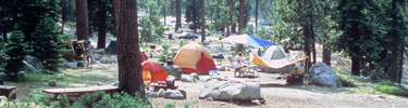 Lodgepole campground.