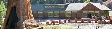Giant Forest Museum