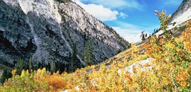 Kings Canyon