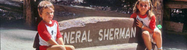 The General Sherman Tree.