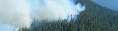 Aerial view of smoke from a wildland fire.