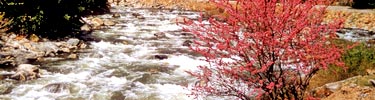 Kings River.