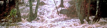 Swollen stream.