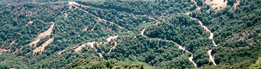 Generals Hwy Sequoia N.P.