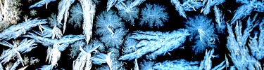 Frost crystals.