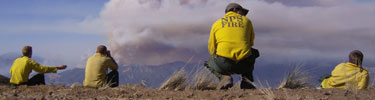 firefighters and wildfire