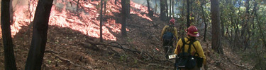 Firefighters lighting a prescribed fire