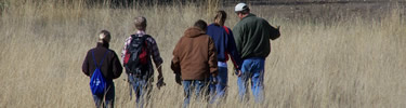Four student volunteers walk through tall grass following leader to work site