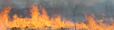 flames and smoke