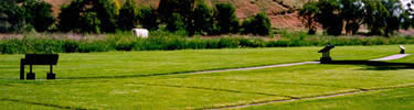 Manicured lawn and pathway through mission site.