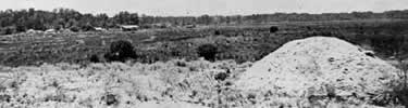 historic photo of the mass grave