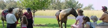 Riding sidesaddle demonstration