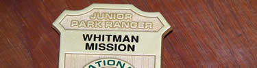junior ranger badge