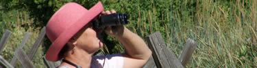 woman watching birds with binoculars