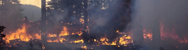 Yosemite historically saw frequent but low intensity fire.