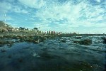 Tidepools