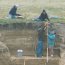 Excavations at Arlington Springs