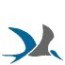 birdlife.org