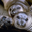 elephant seals dan richards
