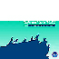 Responsibly Watching California’s Marine Wildlife