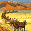 20 Mule Team