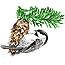 Naturalist's Guide - Fall and Winter