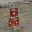 Regulatory sign about dogwalking