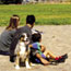 Visiting GGNRA with your pet