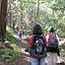 guided walk at Muir Woods