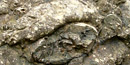 Basalt pillows