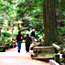 Photo of Muir Woods hikers
