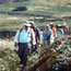 Educational hikes on Coastal Trails