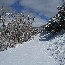 Winter Touring